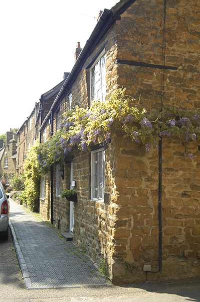 Wisteria on Tays Cottage, Bullring