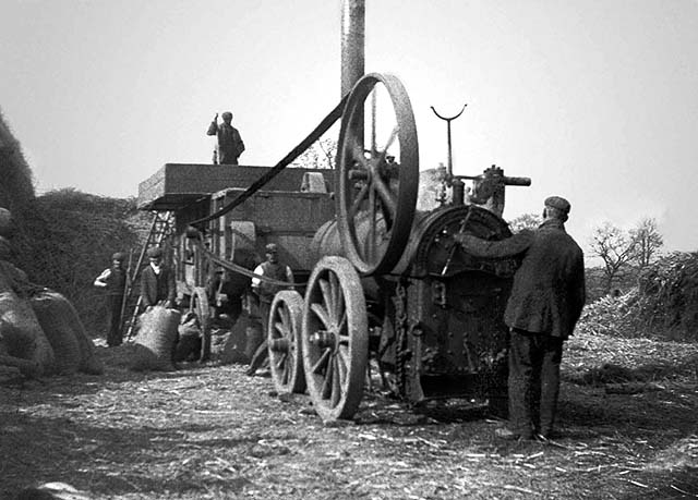 Jim Whitlock Threshing