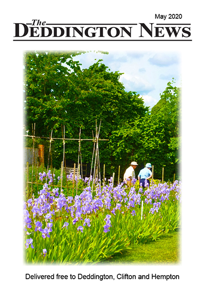 Irises in the allotments in May 2020, Jane Price