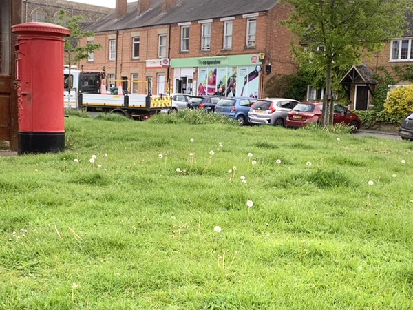 The Market Place green uncut