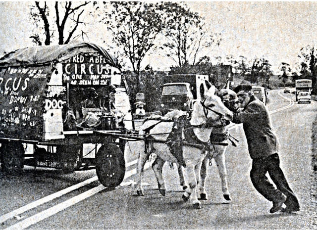 Fred and his donkeys and caravan