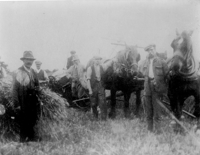 Harvesting