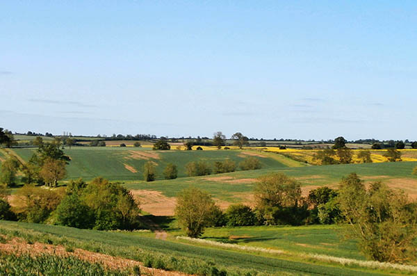 Fields around Clifton