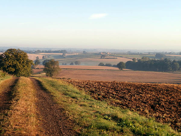 Fields around Hempton