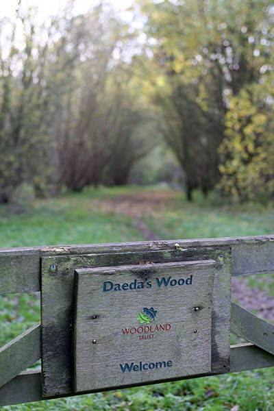 Entrance to Daeda's Wood