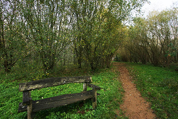 For weary walkers - or just to enjoy the view