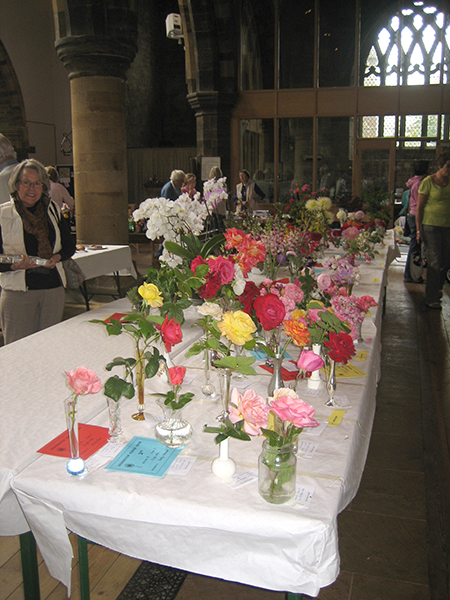 Flowers adding more than a splash of colour