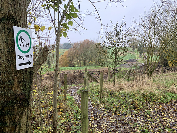 Part of the dog-walking path leading off the copse