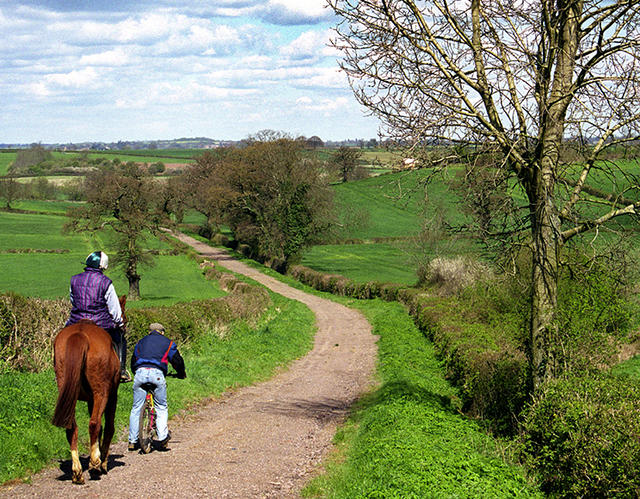 Cosy Lane