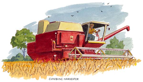 Combine harvester