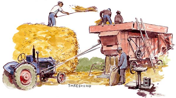 Threshing