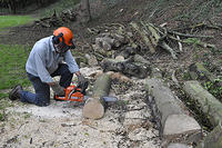 Mike Taylor cutting up logs