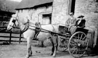 Mr and Mrs George Robinson, the last miller