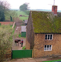 Park Farm, Jason with one of Peggy Pacey's hunters, 12,186