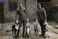 Archie with greyhounds and friend