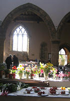 Afternoon sun filtering through the south window