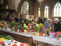 Colourful flower displays being scrutinised