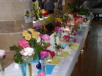 More colourful produce from our local gardens