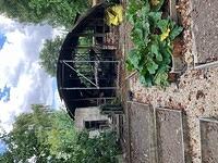 Home Guard Nissen Hut - Manor Farm Clifton