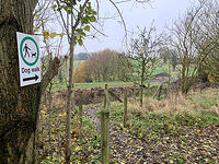 Part of the dog-walking path leading off the copse