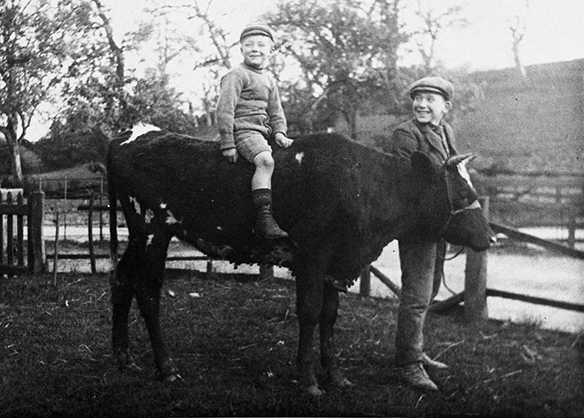 Jack French with Jack Smith on cow
