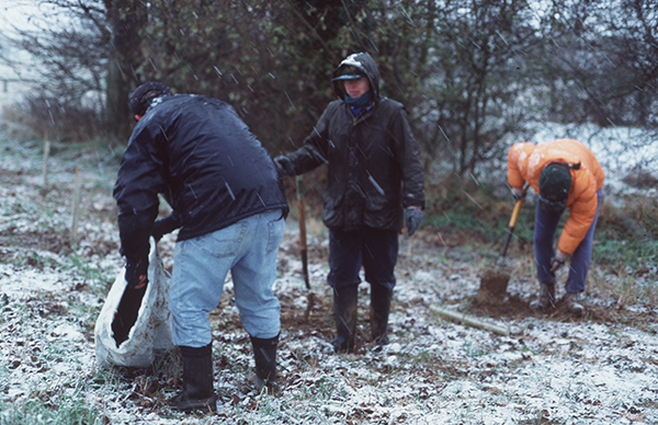 Driving snow when the wood is planted November 1996