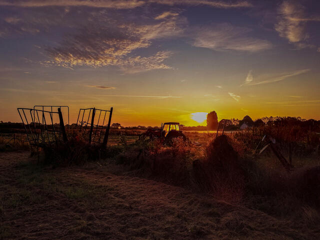 August: Sunrise from Earls Lane