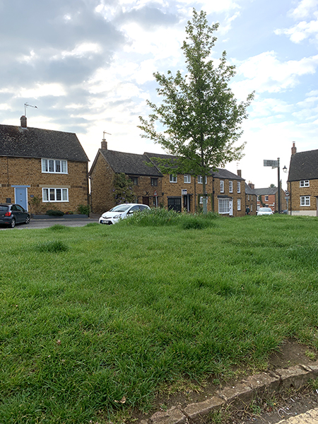 A shaggy Market Place green