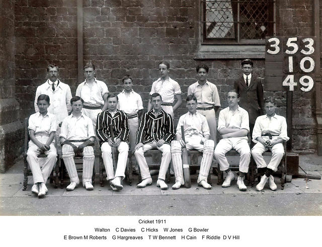 Cricket 1911