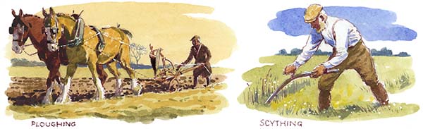 Ploughing by horse and scything