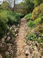 Broom House - The 'Dell' rockery