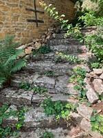 Broom House - The Dell south end steps