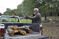 Mike Taylor loading logs