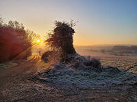 February: Sunrise over Chapmans Lane