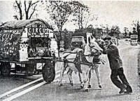 Fred and his donkeys and caravan