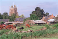 Earls Farm barns before conversion