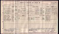N Sykes 1911 census