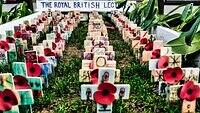 Field of Remembrance 2