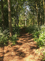 Part of the woodland trail