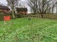 Newly planted willow tunnel and noughts and crosses play panel