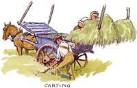 Carting