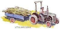 'Fergie' tractor