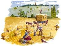The pictures of bygone farming techniques were created for Deddington's Millennium map. Haymaking and gathering hay into stooks