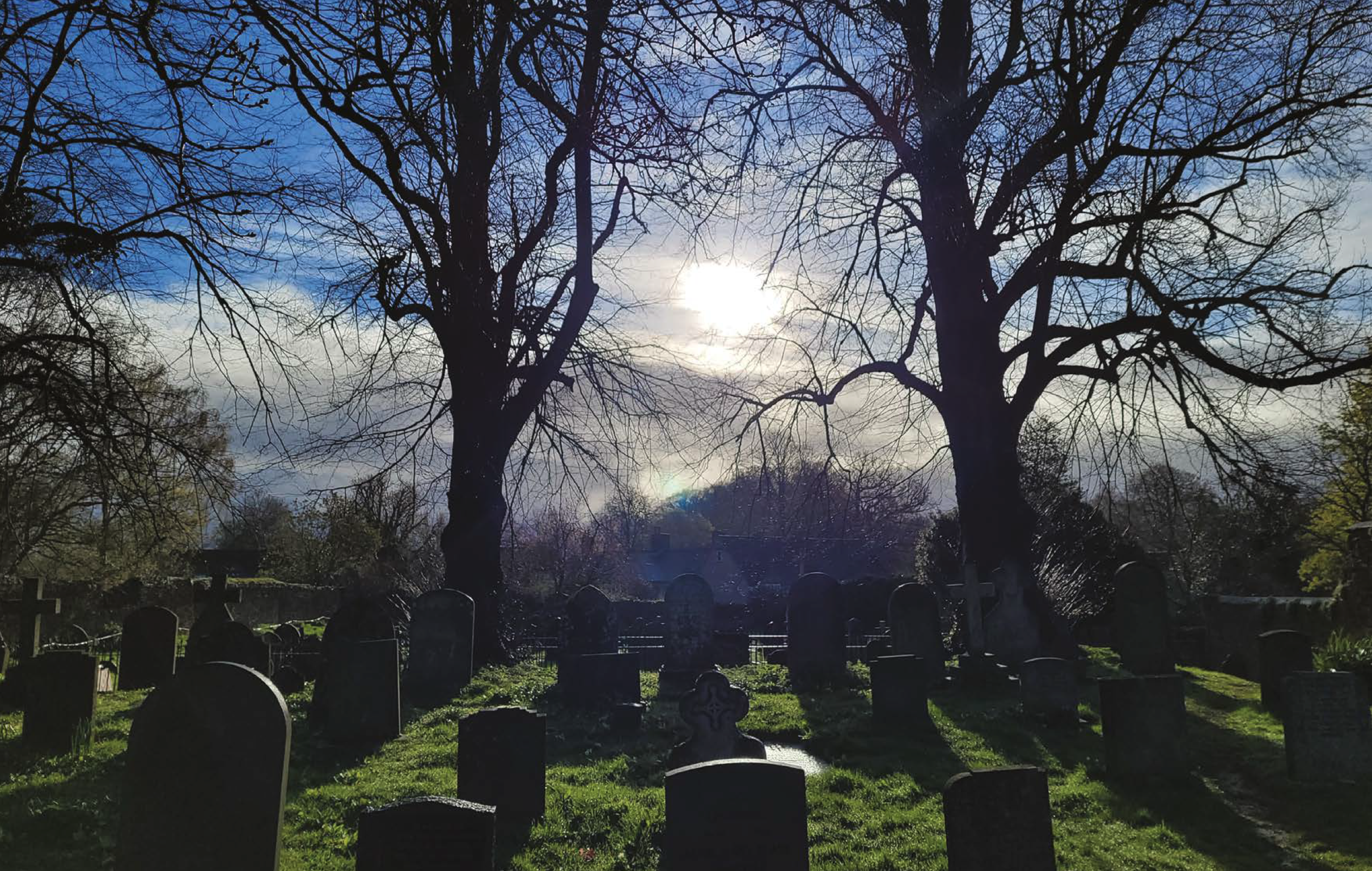 Screenshot 2025-01-28 at 17.17.40